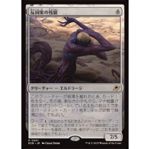画像: 【JPN/EOE】反因果の残留/Anticausal Vestige [無色] 『R』