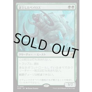画像: 【JPN/EOE/FOIL★】逆上したベイロス/Frenzied Baloth [緑] 『R』