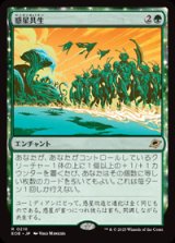 画像: 【JPN/EOE】惑星共生/Terrasymbiosis [緑] 『R』