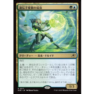 画像: 【JPN/EOE】遺伝子変異の成虫/Genemorph Imago [マルチ] 『R』