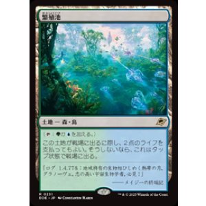 画像: 【JPN/EOE】繁殖池/Breeding Pool [土地] 『R』