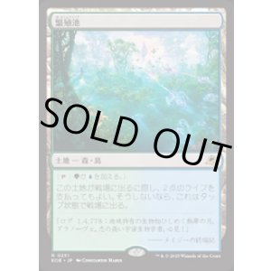 画像: 【JPN/EOE/FOIL★】繁殖池/Breeding Pool [土地] 『R』