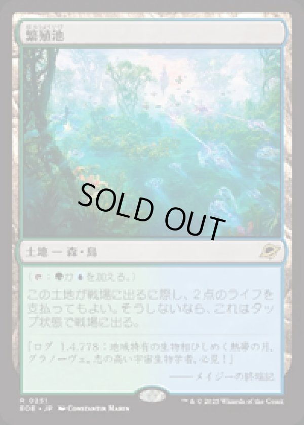 画像1: 【JPN/EOE/FOIL★】繁殖池/Breeding Pool [土地] 『R』