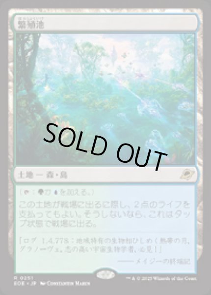 画像1: 【JPN/EOE】繁殖池/Breeding Pool [土地] 『R』 (1)