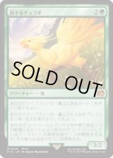 画像: 【JPN/FIN】旅するチョコボ/Traveling Chocobo [緑] 『M』