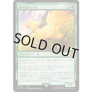 画像: 【JPN/FIN】旅するチョコボ/Traveling Chocobo [緑] 『M』