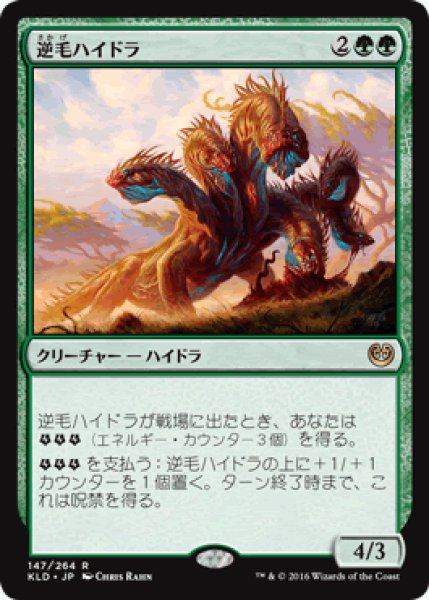 画像1: 【JPN/KLD】逆毛ハイドラ/Bristling Hydra 『R』 (1)