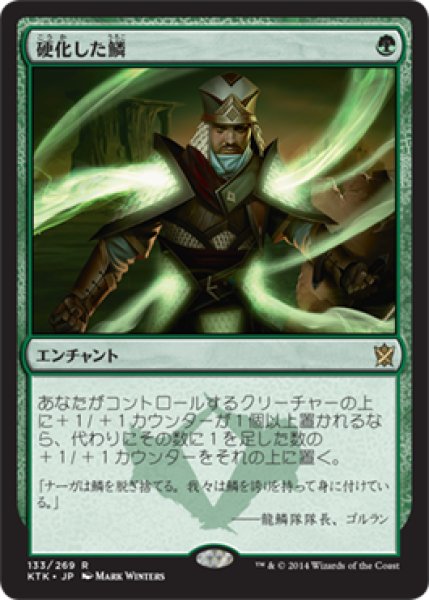 画像1: 【JPN/KTK】硬化した鱗/Hardened Scales (1)