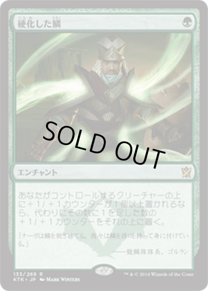 画像1: 【JPN/KTK】硬化した鱗/Hardened Scales (1)