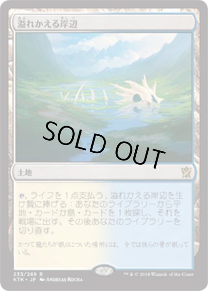 画像1: 【JPN/KTK】溢れかえる岸辺/Flooded Strand   (1)