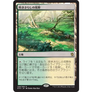 画像: 【JPN/KTK】吹きさらしの荒野/Windswept Heath