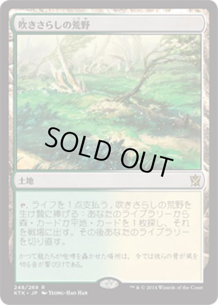 画像1: 【JPN/KTK】吹きさらしの荒野/Windswept Heath   (1)