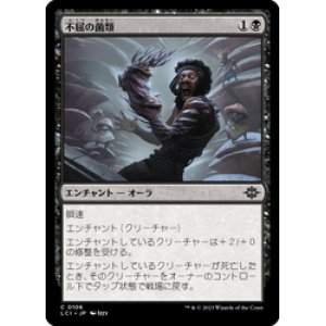 画像: 【JPN/LCI/Foil★】不屈の菌類/Fungal Fortitude [黒] 『C』