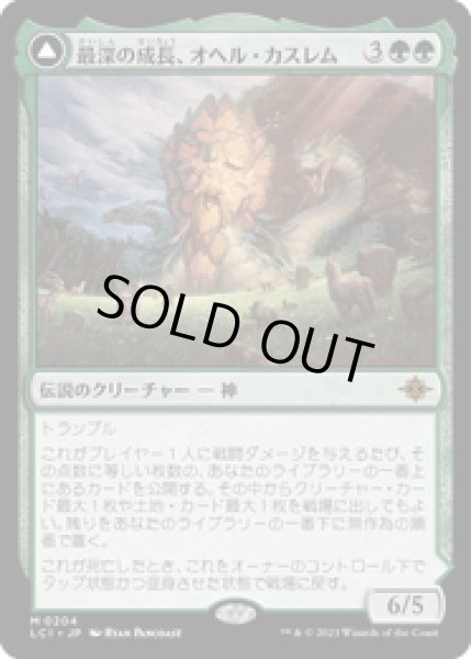 画像1: 【JPN/LCI】最深の成長、オヘル・カスレム/Ojer Kaslem, Deepest Growth [緑] 『M』 (1)