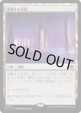 画像: 【JPN/LCI/FOIL★】残響する深淵/Echoing Deeps [土地] 『R』