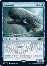 画像: 【JPN/M21/Foil★】追われる鯨/Pursued Whale 『R』 [青]