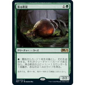 画像: 【JPN/M21/Foil★】漁る軟泥/Scavenging Ooze 『R』 [緑]