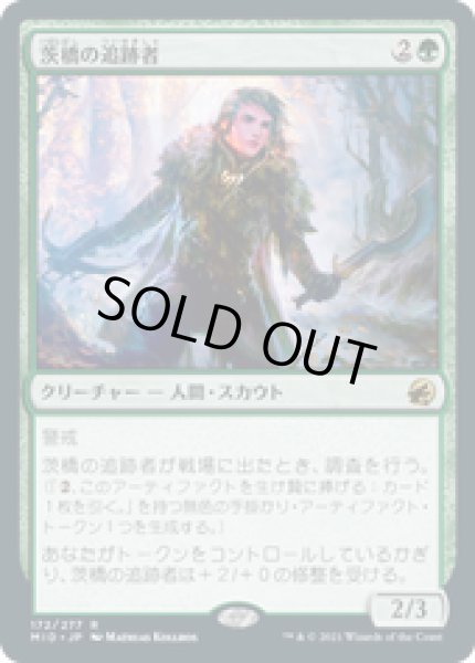 画像1: 【JPN/MID】茨橋の追跡者/Briarbridge Tracker [緑] 『R』 (1)