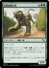 画像: 【JPN/MKM/Foil★】装飾庭園の豹/Topiary Panther [緑] 『C』