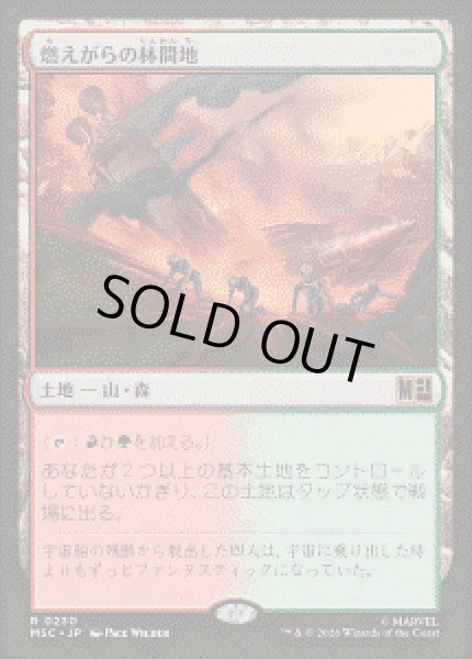 画像1: 【JPN/MSC】燃えがらの林間地/Cinder Glade［土地］『R』 (1)