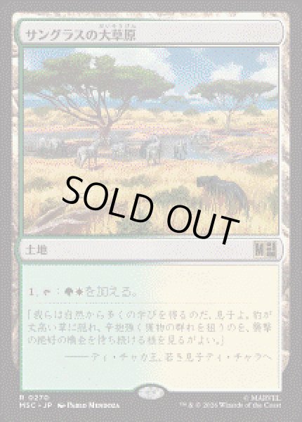 画像1: 【JPN/MSC】サングラスの大草原/Sungrass Prairie［土地］『R』 (1)