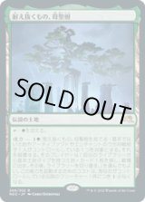 画像: 【JPN/NEO】耐え抜くもの、母聖樹/Boseiju, Who Endures [土地] 『R』