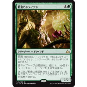画像: 【JPN/RIX/FOIL★】若葉のドライアド/Tendershoot Dryad 『R』 [緑]【プロモパック】