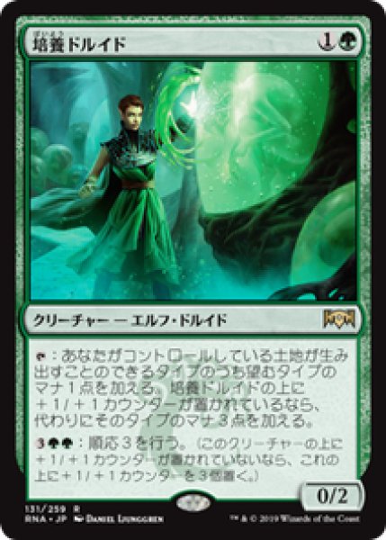 画像1: 【JPN/RNA】培養ドルイド/Incubation Druid 『R』 [緑] (1)