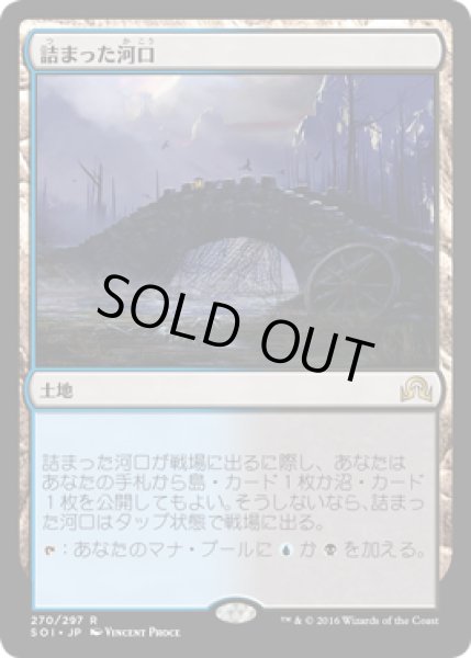 画像1: 【JPN/SOI】詰まった河口/Choked Estuary 『R』 (1)