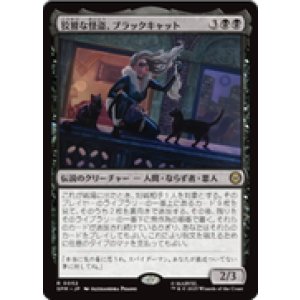 画像: 【JPN/SPM】狡猾な怪盗、ブラックキャット/Black Cat, Cunning Thief [黒] 『R』
