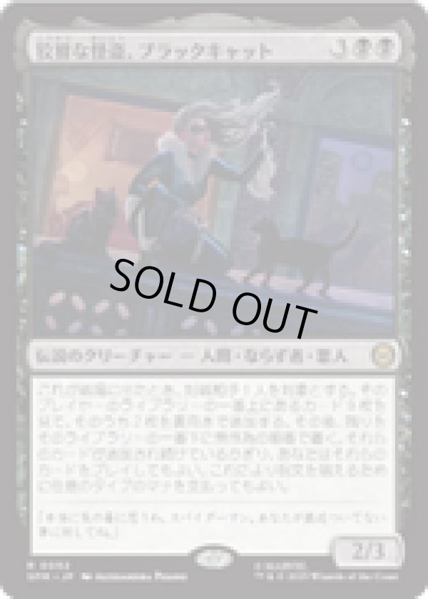 画像1: 【JPN/SPM】狡猾な怪盗、ブラックキャット/Black Cat, Cunning Thief [黒] 『R』