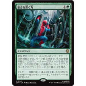 画像: 【JPN/SPM】意志を貫く力/Strength of Will [緑] 『R』