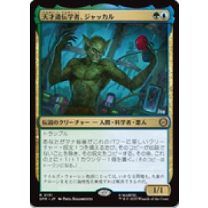 画像: 【JPN/SPM】天才遺伝学者、ジャッカル/Jackal, Genius Geneticist [マルチ] 『R』
