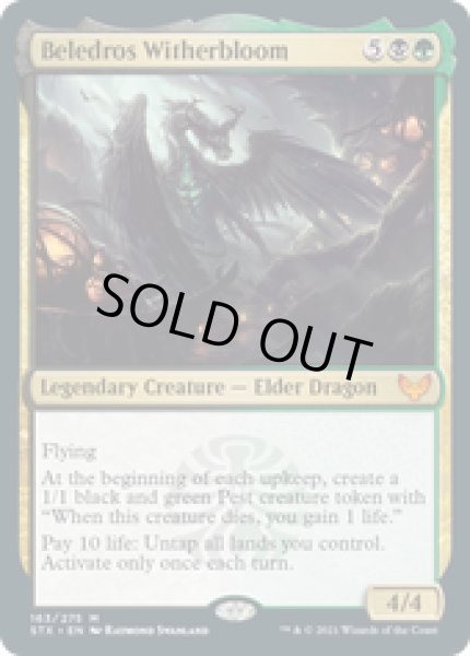 画像1: 【ENG/STX/Foil★】ベレドロス・ウィザーブルーム/Beledros Witherbloom 『R』 [マルチ] (1)