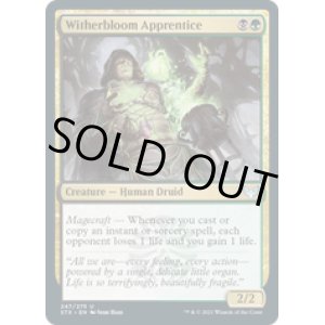 画像: 【ENG/STX】ウィザーブルームの初学者/Witherbloom Apprentice 『U』 [マルチ]