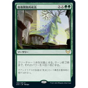 画像: 【JPN/STX】指数関数的成長/Exponential Growth 『R』 [緑]