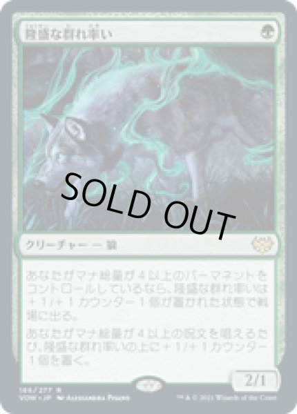 画像1: 【JPN/VOW】隆盛な群れ率い/Ascendant Packleader [緑] 『R』 (1)