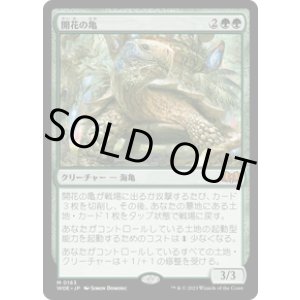 画像: 【JPN/WOE】開花の亀/Blossoming Tortoise [緑] 『M』