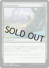 画像: 【JPN/WOE/FOIL★】豆の木をのぼれ/Up the Beanstalk [緑] 『U』