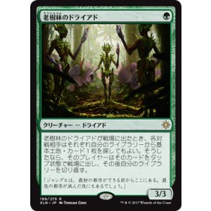 画像: 【JPN/XLN】老樹林のドライアド/Old-Growth Dryads 『R』 [緑]　