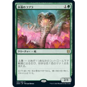 画像: 【JPN/ZNR】水蓮のコブラ/Lotus Cobra 『R』 [緑]