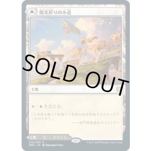 画像: 【JPN/ZNR】陽光昇りの小道/Brightclimb Pathway 『R』 [土地]