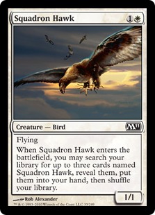 画像1: 【ENG/M11】戦隊の鷹/Squadron Hawk