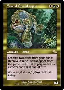 画像1: 【JPN/JUD】藪跳ねアヌーリッド/Anurid Brushhopper