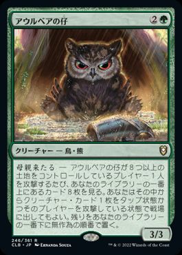 画像1: 【JPN/CLB】アウルベアの仔/Owlbear Cub