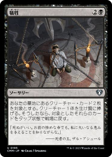 画像1: 【JPN/CMM】犠牲/Victimize