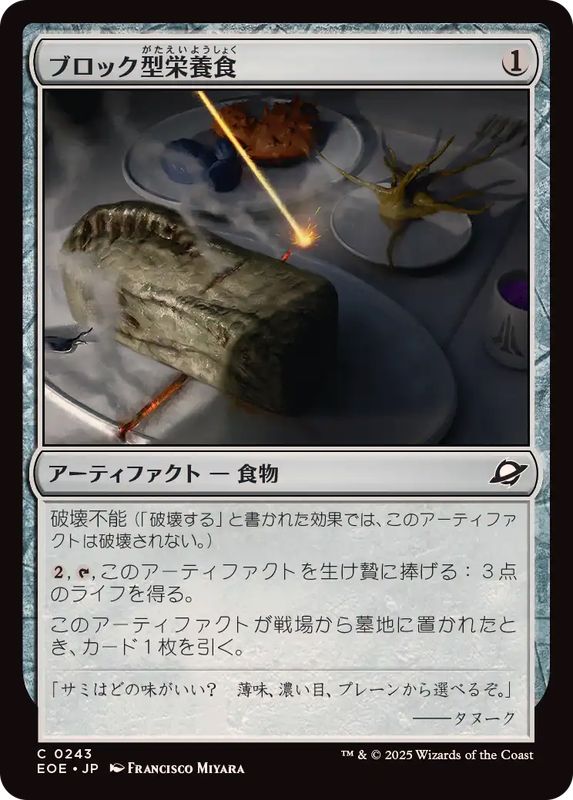 画像1: 【JPN/EOE】ブロック型栄養食/Nutrient Block [茶] 『C』