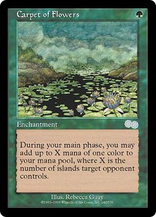 画像1: 【ENG/USG】花の絨毯/Carpet of Flowers