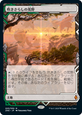 画像1: 【JPN/ZNE】吹きさらしの荒野/Windswept Heath